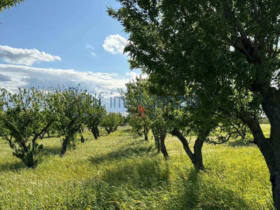 Terreno en Carovigno, Brindisi - foto 5